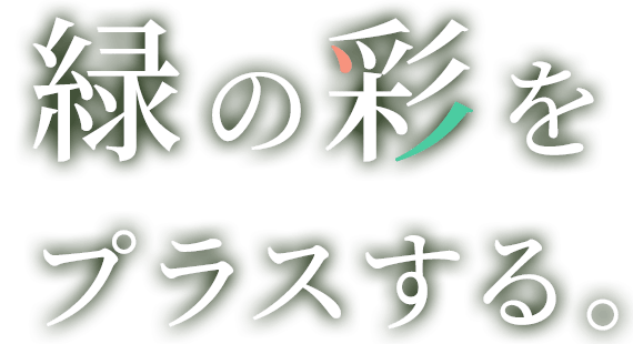 緑の彩をプラスする。